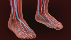 Circulation Problems and the Feet
